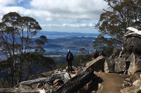 Kunanyi/Mt Wellington Explorer Bus - One Way Tour - Attractions Sydney 2