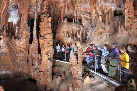 Private Tour: Jenolan Caves & Blue Mountains In A Day - Attractions Sydney 0