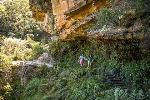 Private Guided: Blue Mountains Hiking & Nature Tour - Attractions Sydney 2