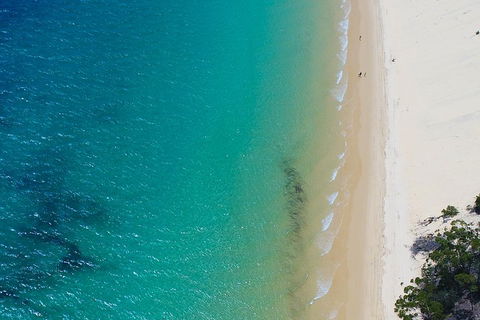 Private Tangalooma Wrecks Tour - Attractions Sydney 1