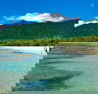 5-Day Best of Cairns with Daintree Kuranda and Great Barrier Reef - Attractions Sydney