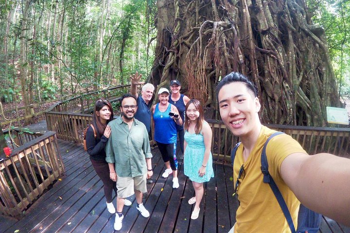  Attractions Sydney