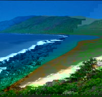 Cairns Reef and Rainforest Combo Daintree Rainforest and the Great Barrier Reef - Attractions Sydney