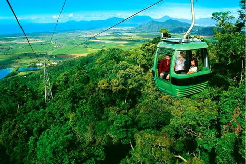 4-Day Cairns Ultimate Combo: Daintree Rainforest, Reef, Kuranda & Paronella Park - Attractions Sydney 1