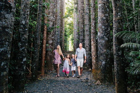 Paronella Park And Millaa Millaa Falls Full-day Tour From Cairns - Attractions Sydney 5