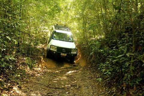 Barron Gorge And Kuranda National Park Half Day Rainforest And Waterfall 4WD Tour From Cairns - Attractions Sydney 2