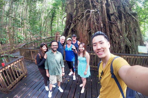 Barron Gorge And Kuranda National Park Half Day Rainforest And Waterfall 4WD Tour From Cairns - Attractions Sydney 5