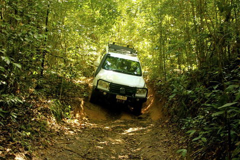 Cairns National Park Rainforest And Waterfall Small Group Tour Shore Excursion - Attractions Sydney 0