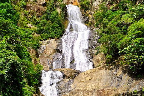Cairns National Park Rainforest And Waterfall Small Group Tour Shore Excursion - Attractions Sydney 4