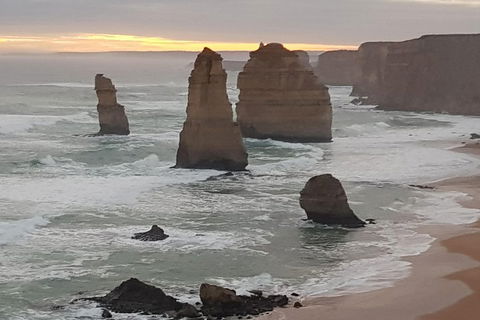 Private Express Experience - 12 Apostles - Attractions Sydney 1