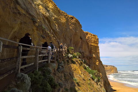 Private Express Experience - 12 Apostles - Attractions Sydney 3