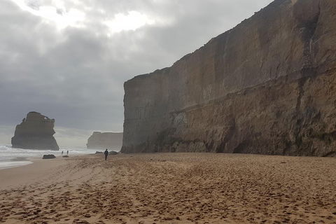 Private Express Experience - 12 Apostles - Attractions Sydney 4