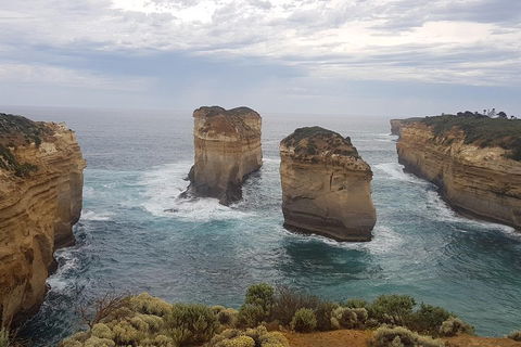 Private Express Experience - 12 Apostles - Attractions Sydney 5