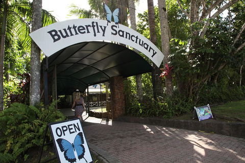 Kuranda Day Trip From Port Douglas Upgrade To Skyrail & Scenic Train Available - Attractions Sydney 0