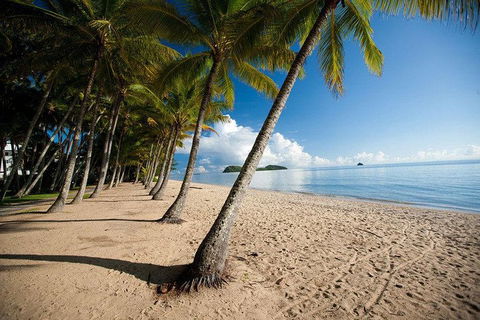 Kuranda Day Trip From Port Douglas Upgrade To Skyrail & Scenic Train Available - Attractions Sydney 1