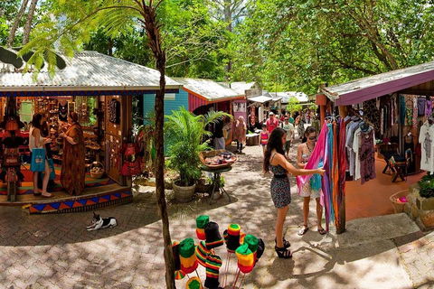 Kuranda Day Trip From Port Douglas Upgrade To Skyrail & Scenic Train Available - Attractions Sydney 2