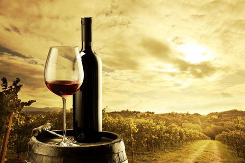 McLaren Vale Luxury Wine Tour - Attractions Sydney 0