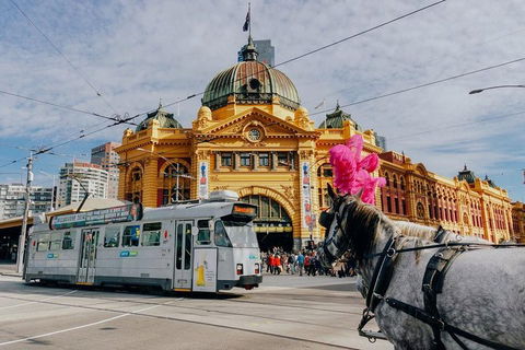 Melbourne. Laneways And Alleyways - Attractions Sydney 0
