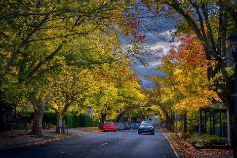 Small Group Adelaide Hills And Hahndorf Hideaway Tour From Adelaide - Attractions Sydney 1