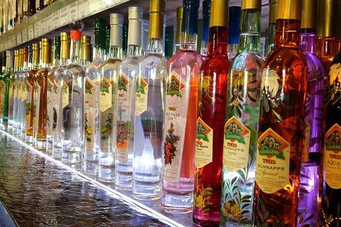 Bar & Brewery Tour - Attractions Sydney 4
