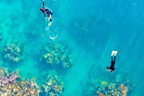 Fly & Cruise - Seaplane Package - Attractions Sydney 1