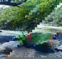 Afternoon Half-Day Daintree Rainforest and River Tour - Attractions Sydney