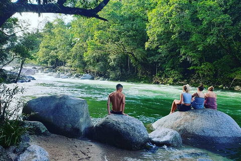 Afternoon Half-Day Daintree Rainforest And River Tour - Attractions Sydney 0