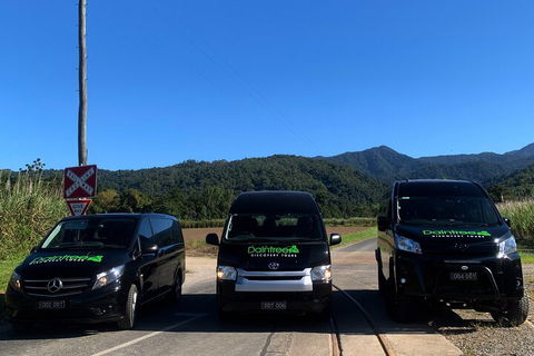 Afternoon Half-Day Daintree Rainforest And River Tour - Attractions Sydney 4