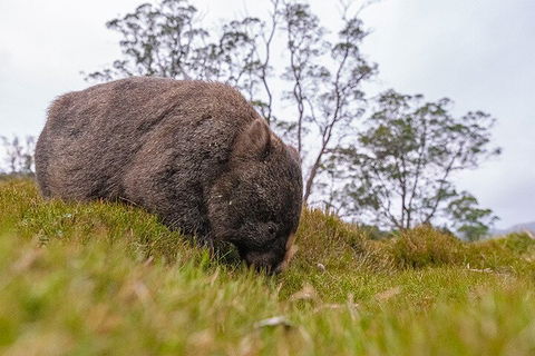3-Day Cradle Mountain Photography Workshop - Attractions Sydney 0