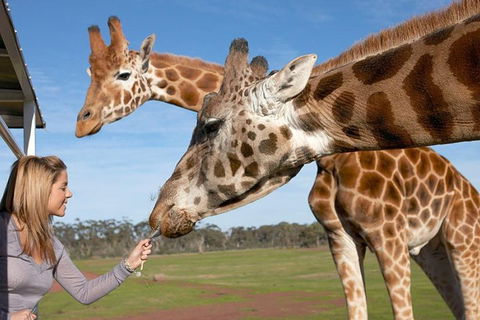 Melbourne City Card (2 Days): Visit Unlimited Attractions! - Attractions Sydney 1