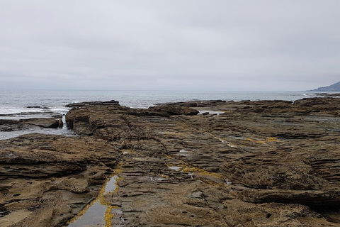 Luxury Private Great Ocean Road Tour Up To 11 People - Entire Vehicle - Attractions Sydney 1