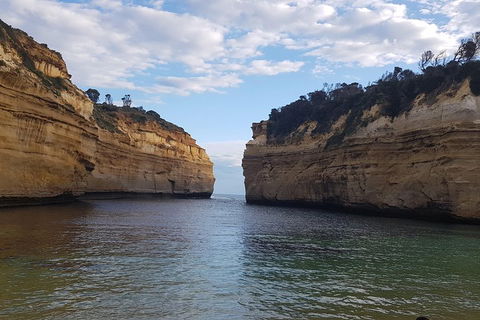 Luxury Private Great Ocean Road Tour Up To 11 People - Entire Vehicle - Attractions Sydney 2