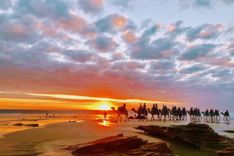 1 Hour Broome Sunset Camel Tour - Attractions Sydney 0