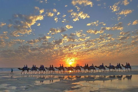 1 Hour Broome Sunset Camel Tour - Attractions Sydney 1