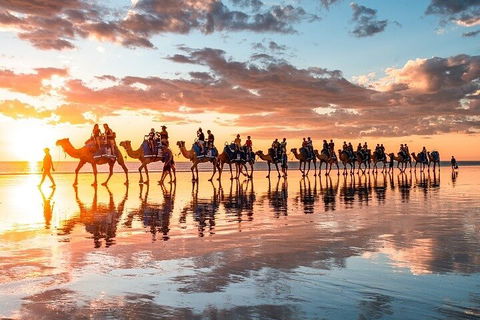 1 Hour Broome Sunset Camel Tour - Attractions Sydney 2