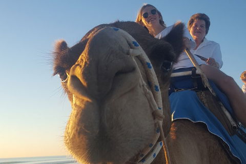 1 Hour Broome Sunset Camel Tour - Attractions Sydney 4