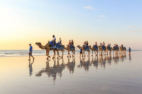 1 Hour Broome Sunset Camel Tour - Attractions Sydney 5