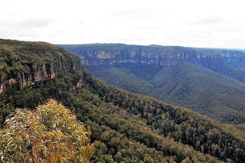 Blue Mountains - Attractions Sydney 3