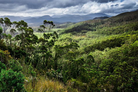 3-Day Tour To The Falls, Mountains, Lake & More Of West Coast Tasmania - Attractions Sydney 0