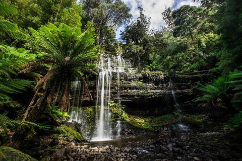 3-Day Tour To The Falls, Mountains, Lake & More Of West Coast Tasmania - Attractions Sydney 4
