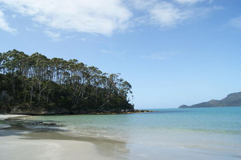 Bruny Island Day Trip From Hobart - Attractions Sydney 1