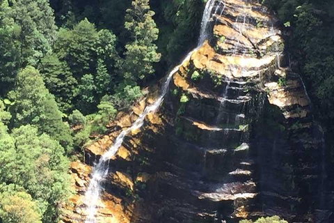 Private Blue Mountains Tour With Kangaroo And Koala Experience - Attractions Sydney 5