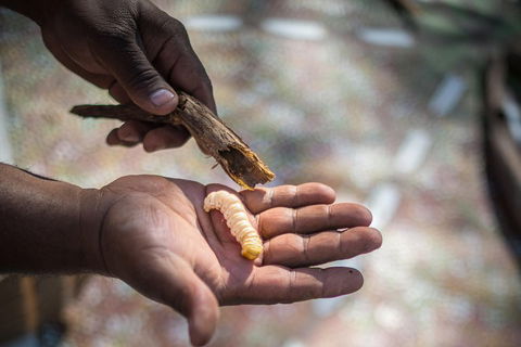 Karrke Aboriginal Cultural Experience - Attractions Sydney 3