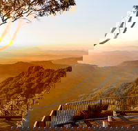 O'Reilly's  Lamington National Park incl. Alpaca Farm  Vineyard - Attractions Sydney