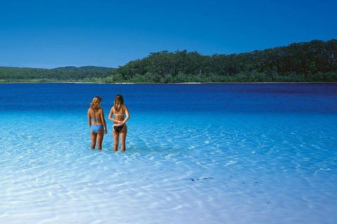 Fraser Island 4WD Tour From Noosa - Attractions Sydney 2