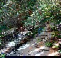 Fraser Island 4WD Tour from Rainbow Beach - Attractions Sydney