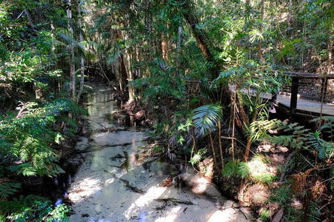 Fraser Island 4WD Tour From Rainbow Beach - Attractions Sydney 0