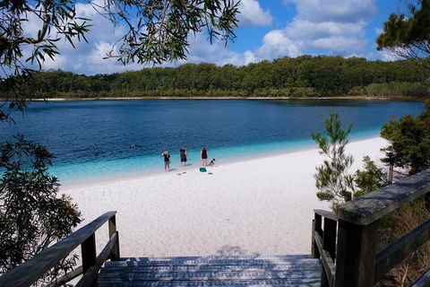 Fraser Island 4WD Tour From Rainbow Beach - Attractions Sydney 3