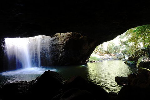 Rainforest & Waterfalls Extravaganza - Attractions Sydney 0