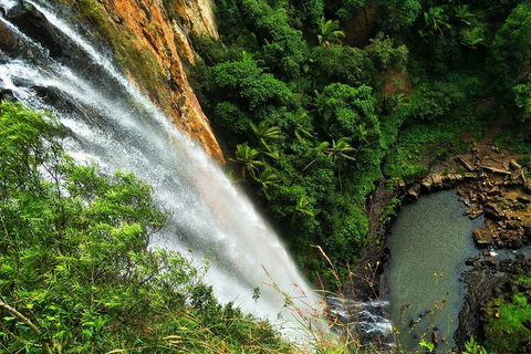 Rainforest & Waterfalls Extravaganza - Attractions Sydney 1